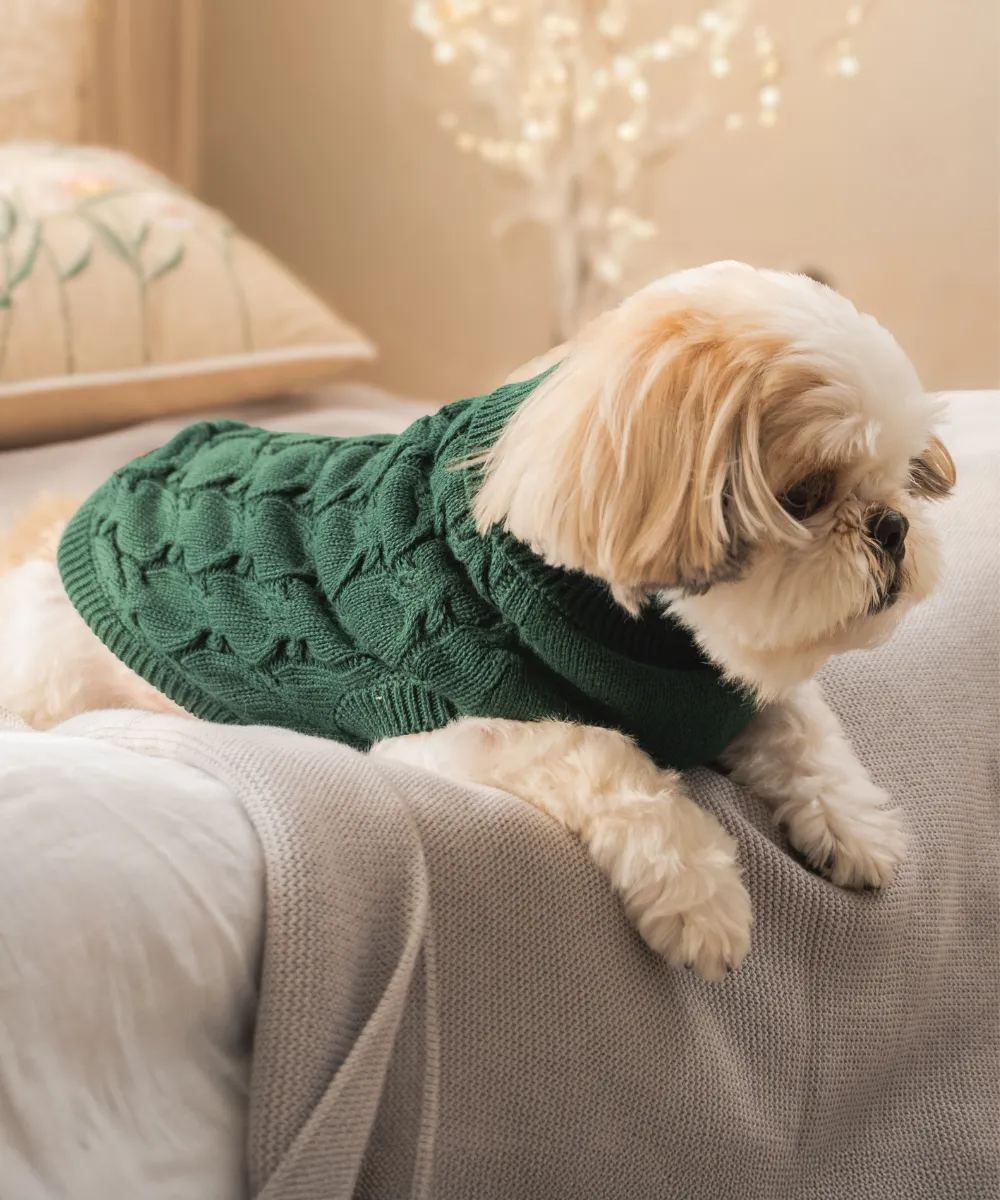 Forest Green Cable Knit Sweater