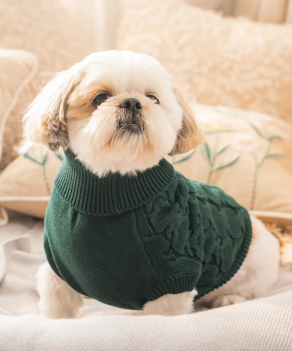 Forest Green Cable Knit Sweater